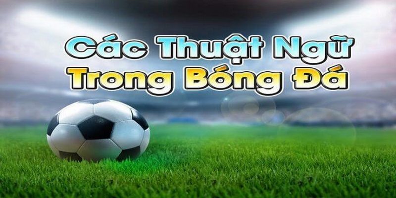 Thuật ngữ bóng đá đóng vai trò quan trọng trong các trận đấu