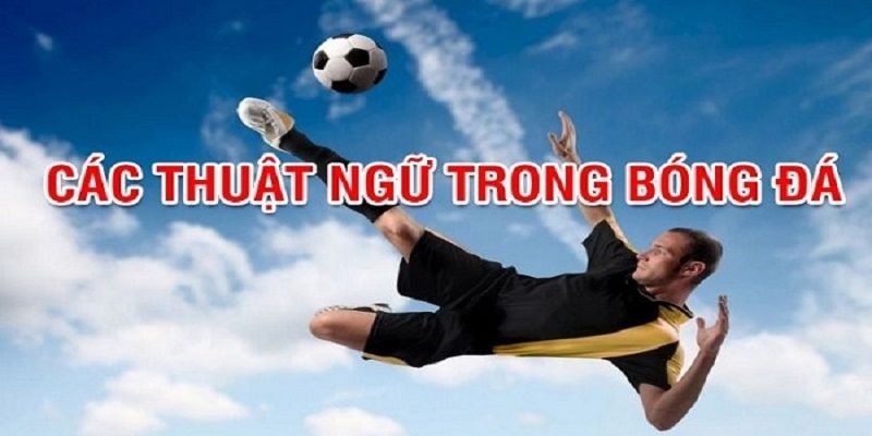 Thuật ngữ bóng đá về những vị trí trên sân từ A đến Z